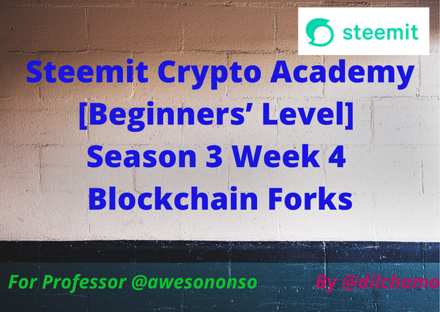 Steemit Crypto Academy [Beginners’ Level] Season 3 Week 4 Blockchain Forks.png